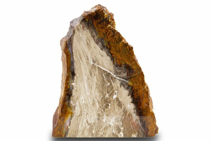 Colorful Polished Petrified Wood Stand Up - Utah #302990